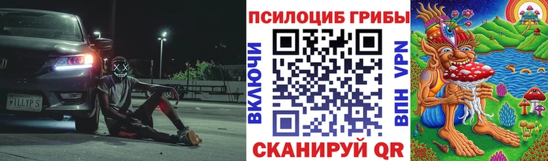 Купить закладки  Калининск  Псилоцибиновые грибы Magic Shrooms 